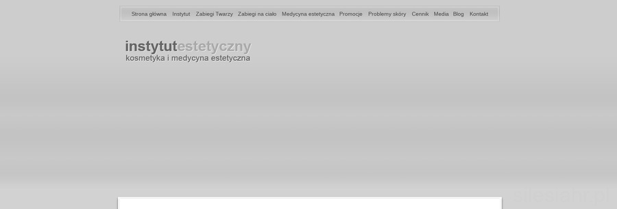 Instytut Estetyczny