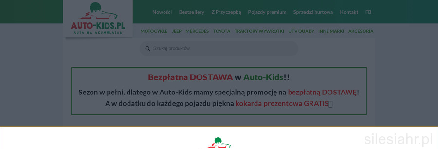 Auto Kids